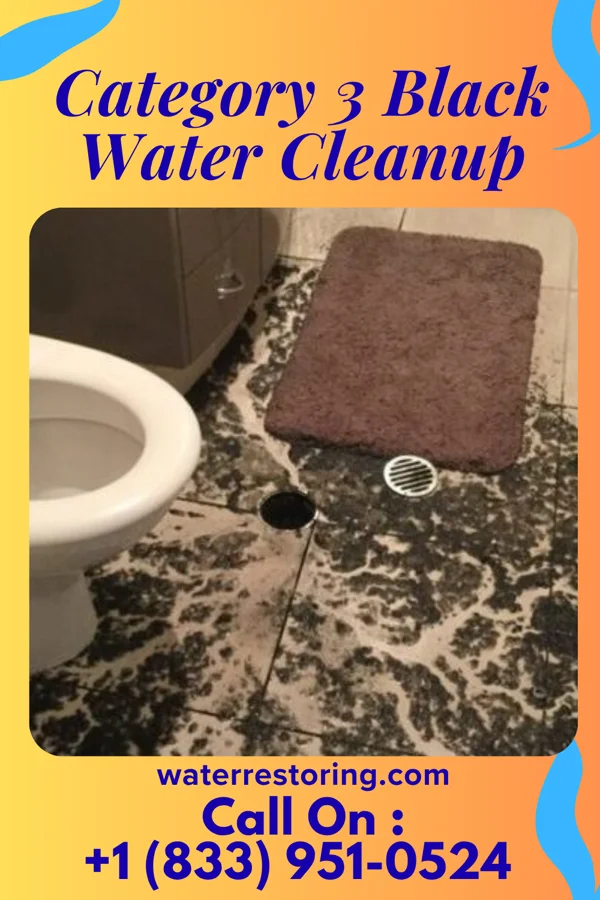 Category 3 Black Water Cleanup in Maple Hill, KS