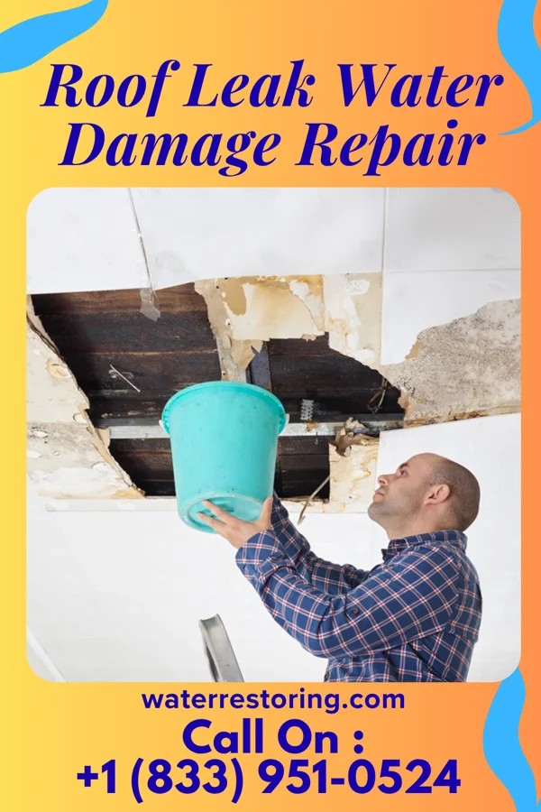 Roof Leak Water Damage Repair in Maple Hill, KS